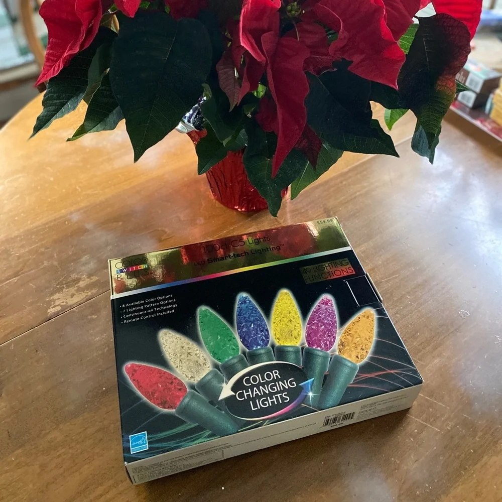 New in Box Christmas Lights